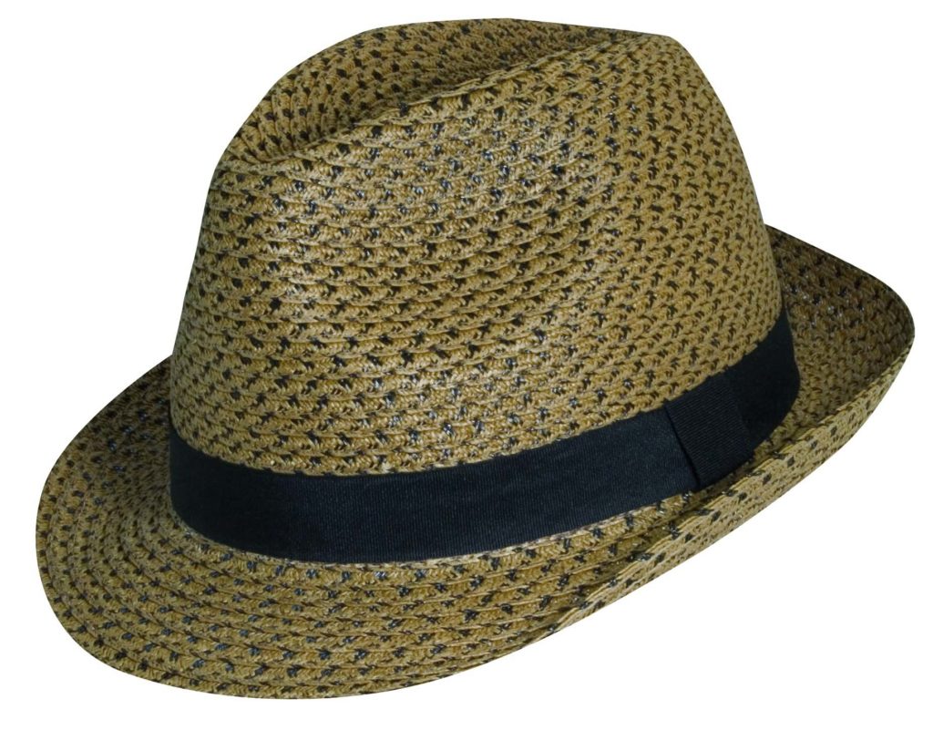 Paper Braid Fedora with Ribbon Trim - Explorer Hats